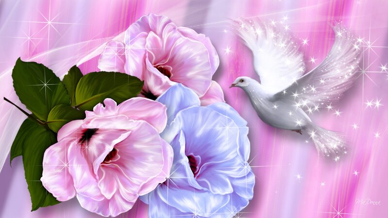White Dove and Flowers