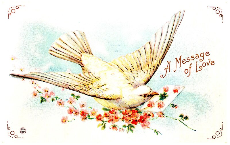 White Dove Carrying Letter