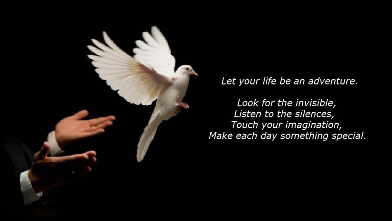 White Dove Flying — Black, Dramatic, Photograph, Hand
