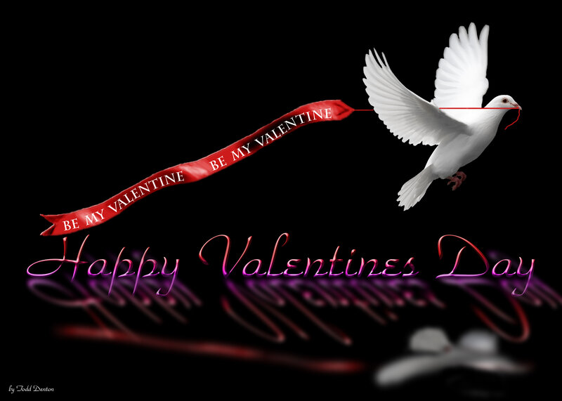 White Dove Flying — Black, Romantic