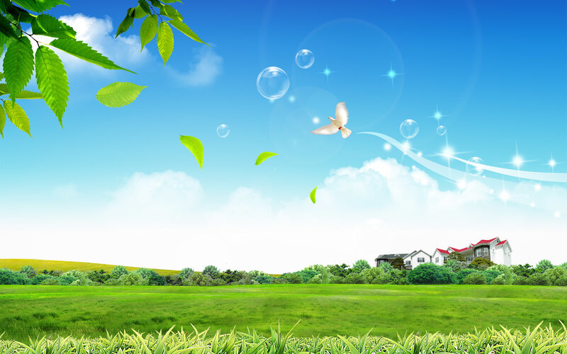 White Dove Flying — Blue, Serene, Afternoon, Digital Art, Green Leaves
