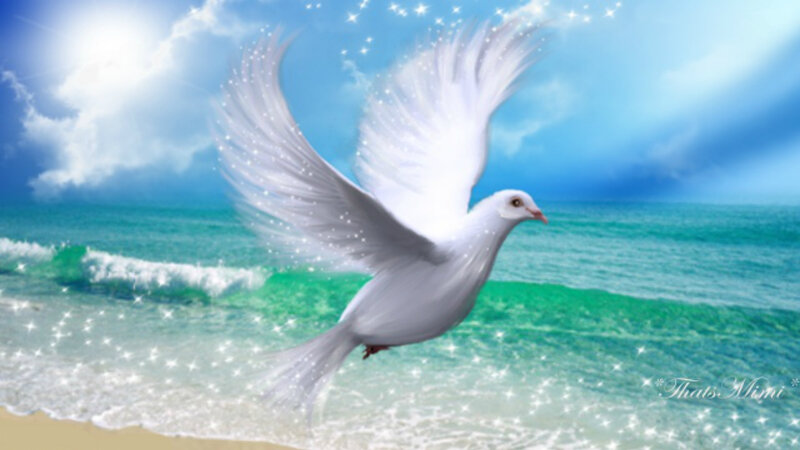 White Dove Flying — Blue, Serene, Afternoon, Digital Art