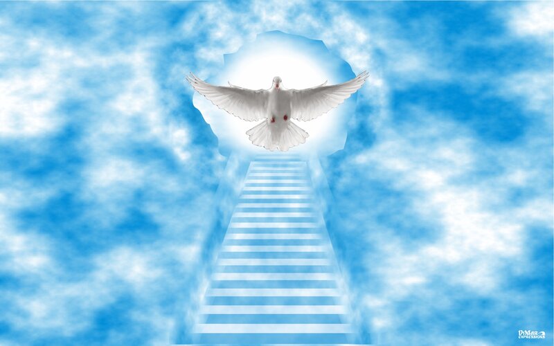 White Dove Flying — Blue, Serene, Digital Art