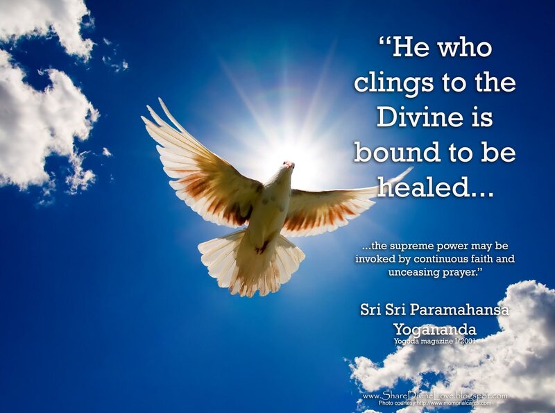 White Dove Flying — Blue, Serene, Morning