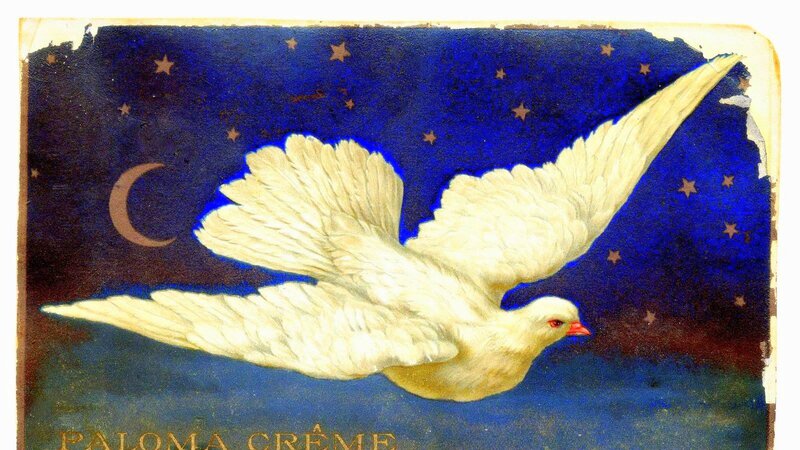 White Dove Flying — Blue, Serene, Night, Illustration, Moon