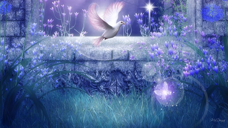 White Dove Flying — Blue, Serene, Night