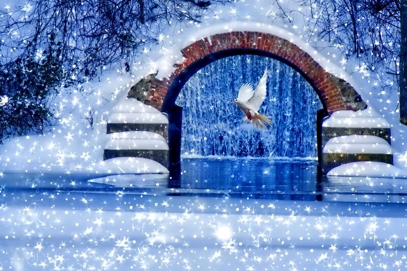 White Dove Flying — Blue, Serene, Winter