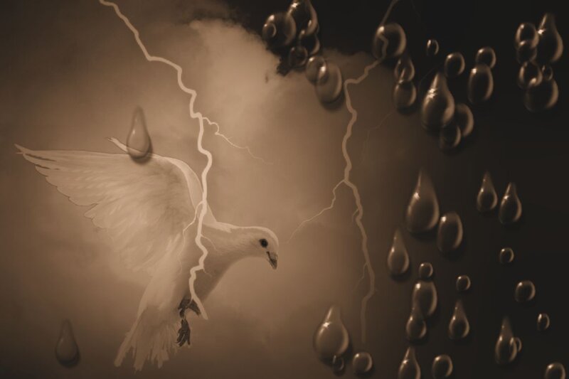 White Dove Flying — Brown