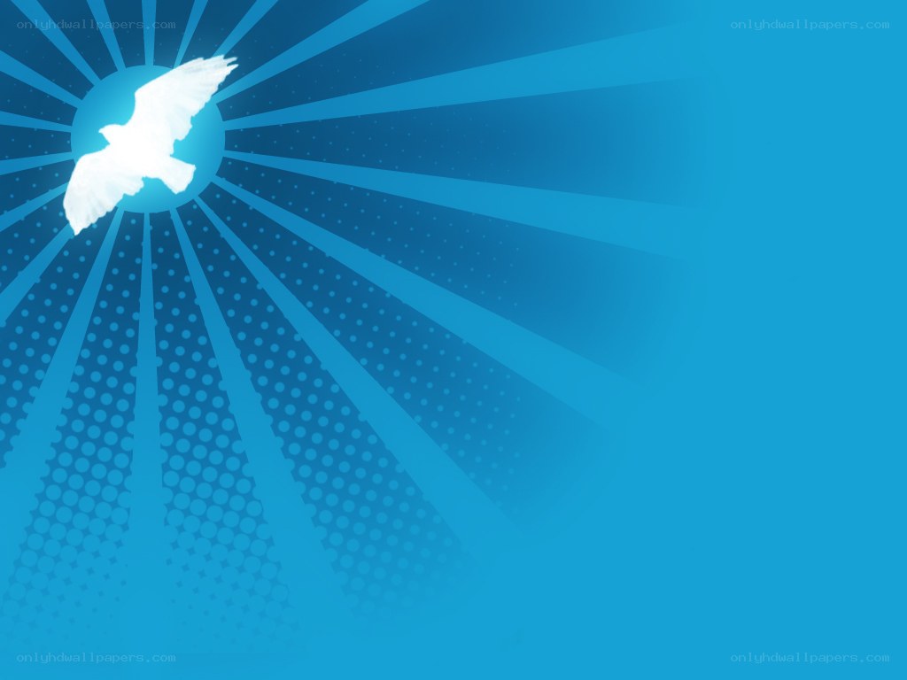 white dove flying in blue light