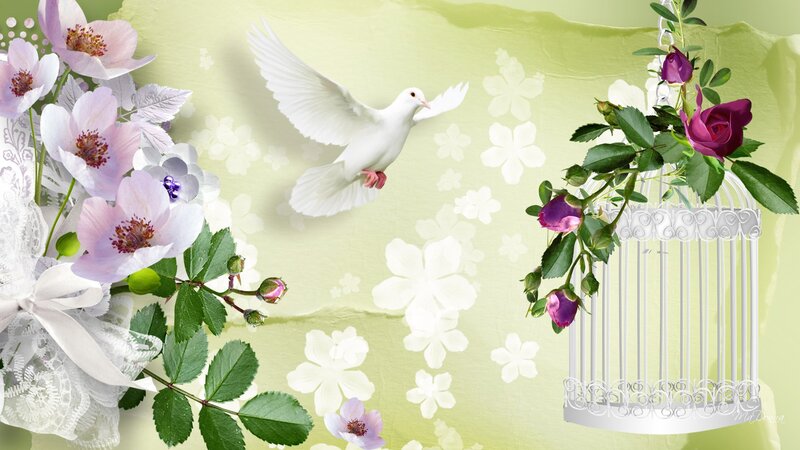 White Dove Flying — Light Green
