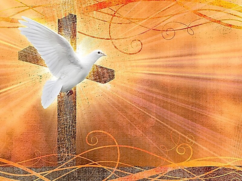 White Dove Flying — Orange, Spiritual