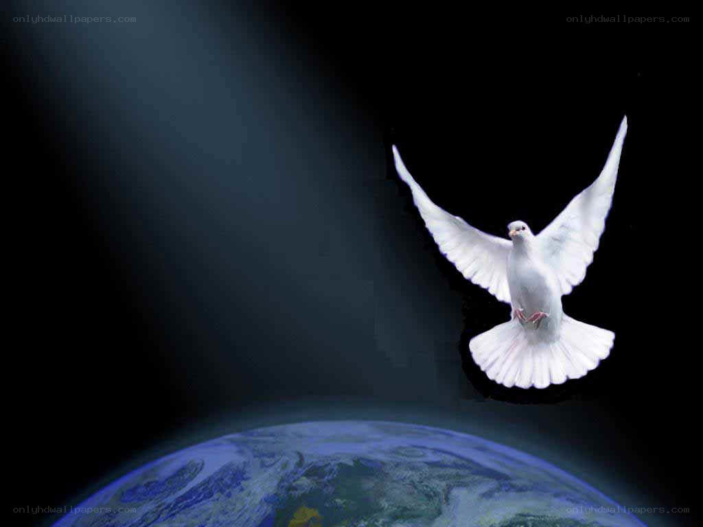 White dove flying over Earth
