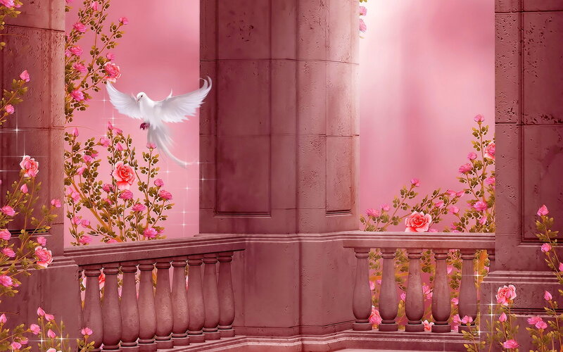 White Dove Flying — Pink, Serene
