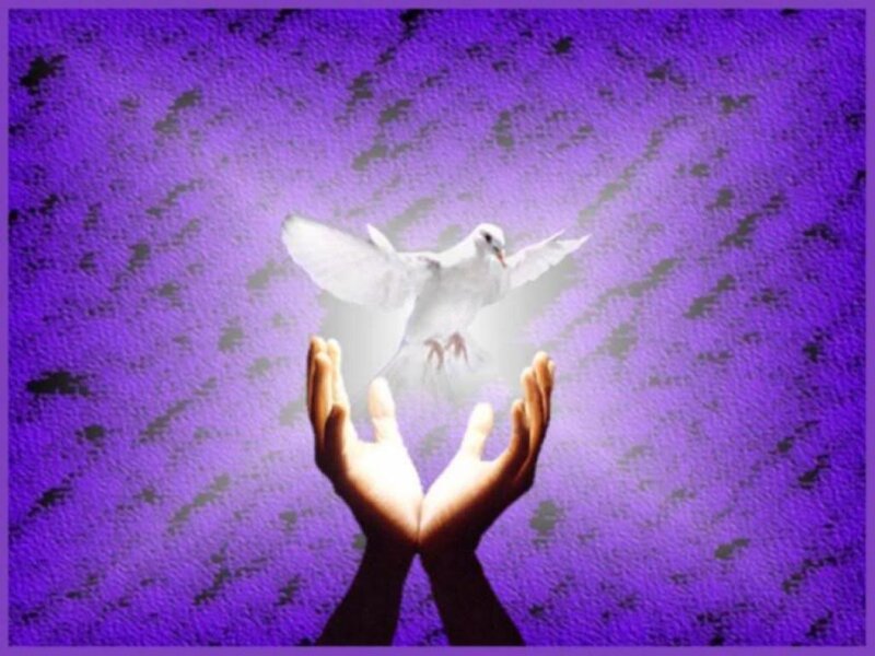 White Dove Flying — Purple