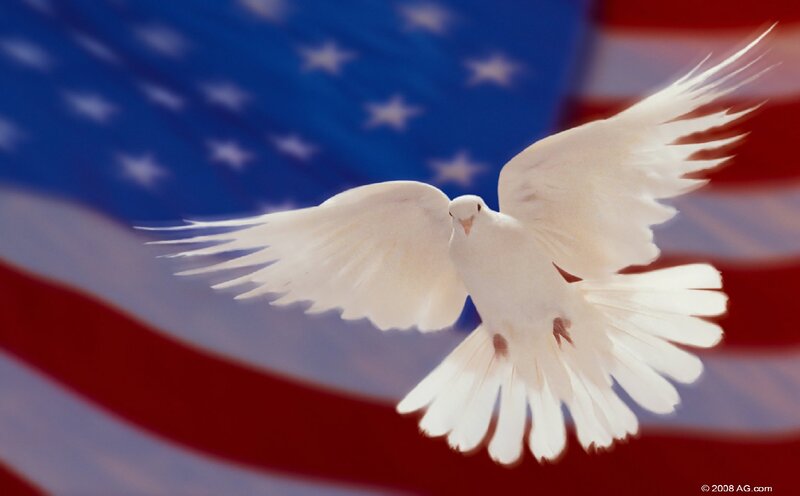 White Dove Flying — Red, Peaceful