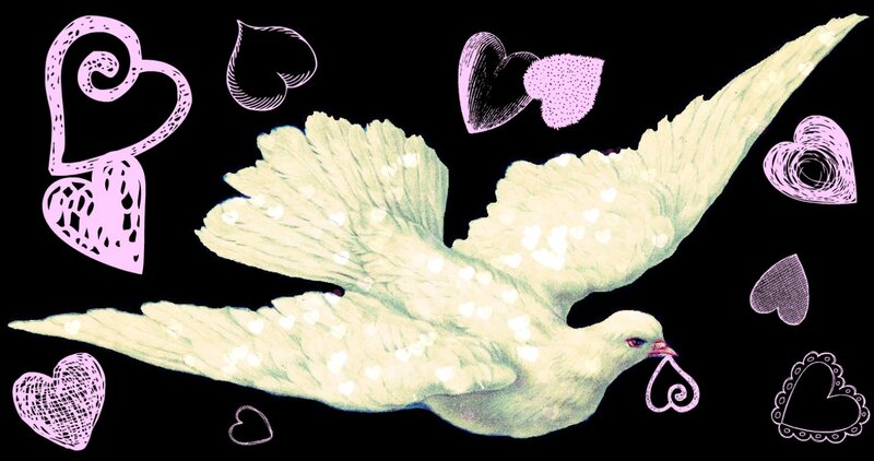 White Dove Flying — Serene