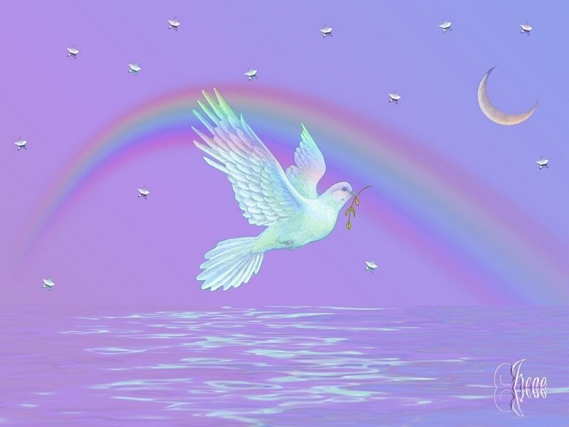White Dove Flying