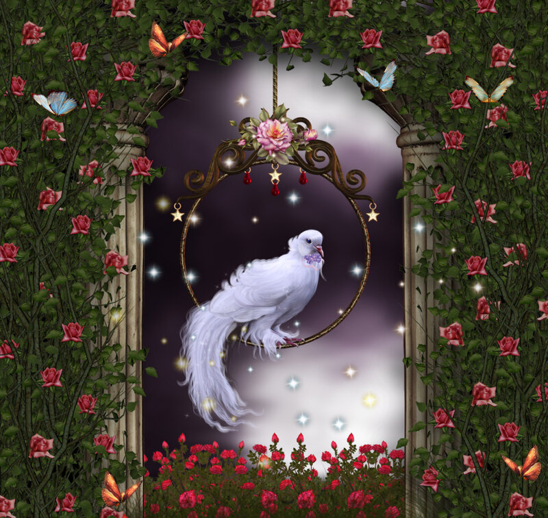 White Dove in a Frame