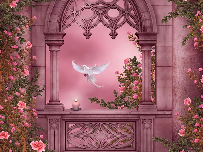 White Dove in Archway — Pink