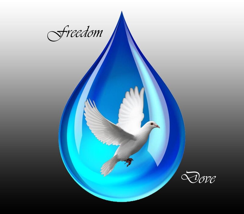 White Dove in Blue Drop