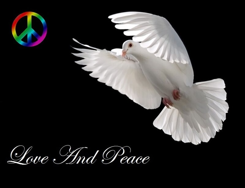 White Dove in Flight — Black
