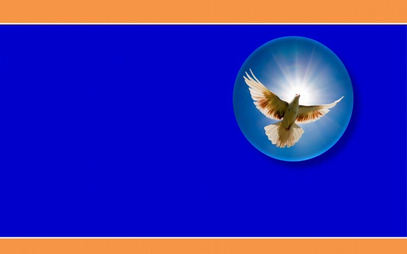 White Dove in Flight — Blue, Serene, Digital Art, Sunlight