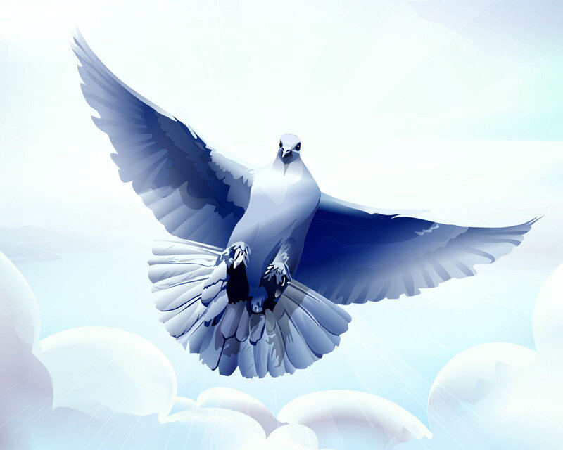 White Dove in Flight — Blue, Serene, Digital Art