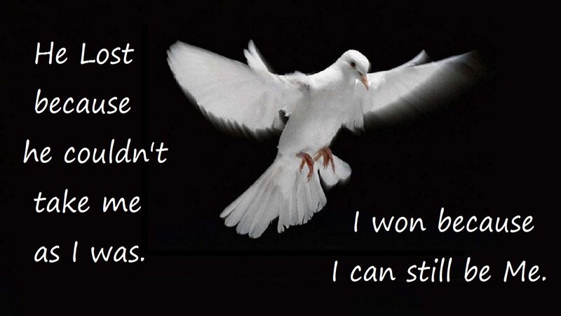 White Dove in Flight — Dramatic, Photograph