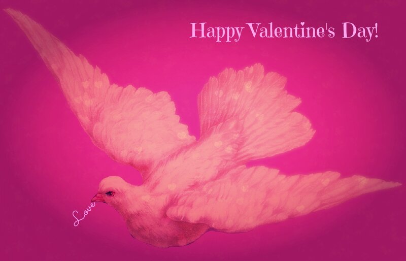 White Dove in Flight — Pink