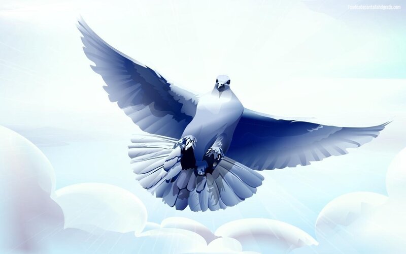 White Dove in Flight — Serene, Digital Art, Clouds
