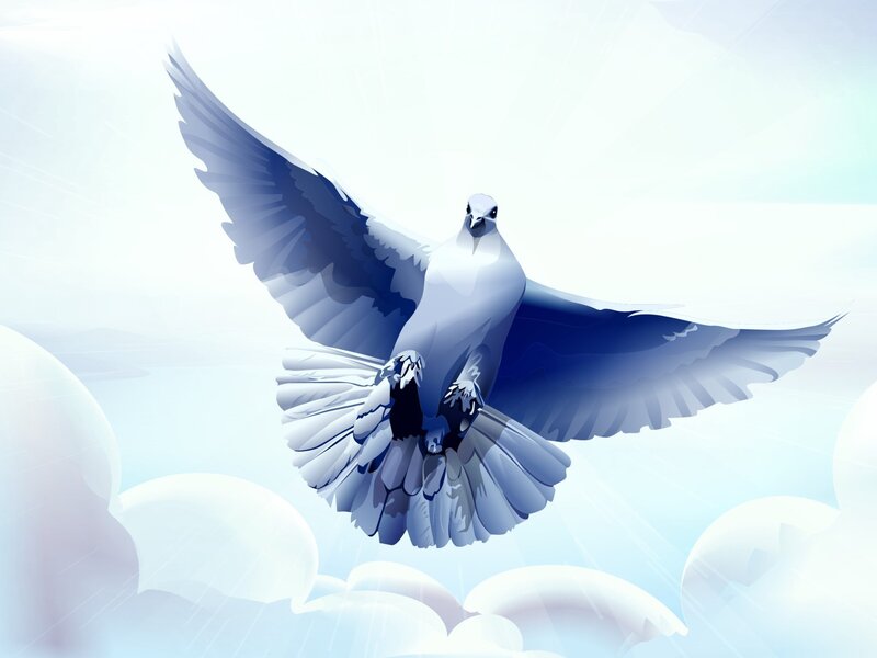 White Dove in Flight — Serene, Digital Art