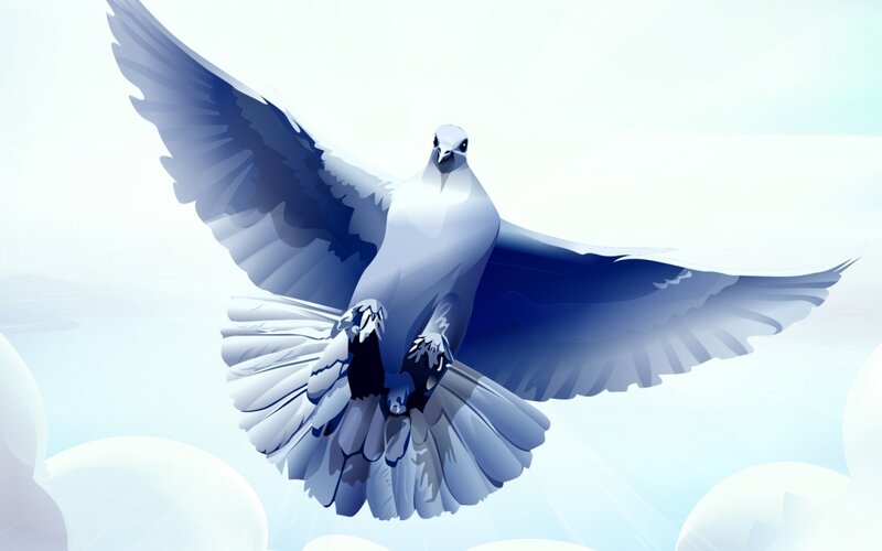 White Dove in Flight — Serene, Digital Art, Wings