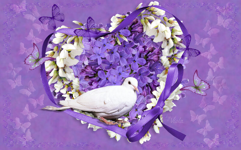 White Dove in Flower Heart