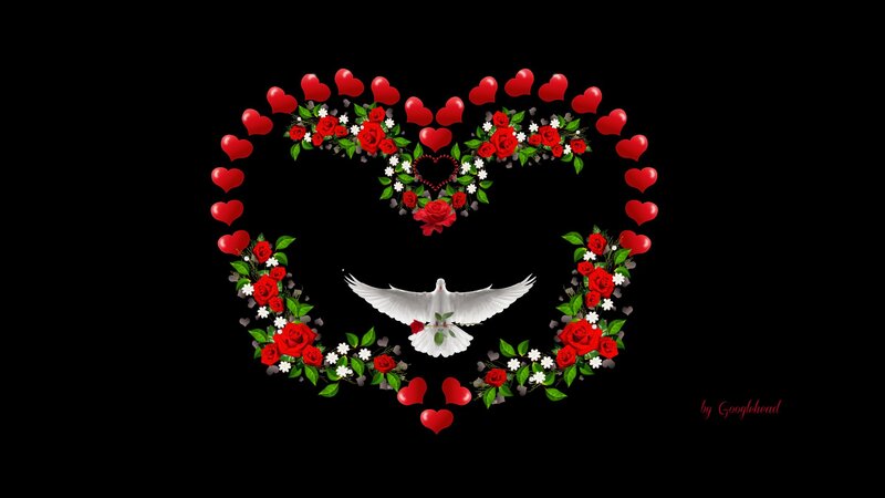 White Dove in Heart — Red