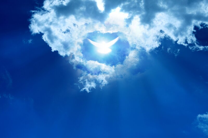White Dove in Sky — Blue, Serene, Morning