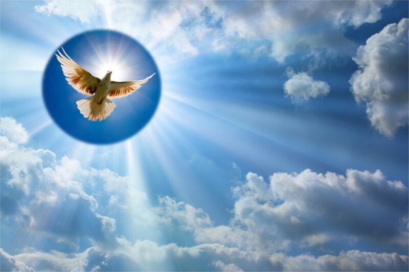 White Dove in Sky — Blue