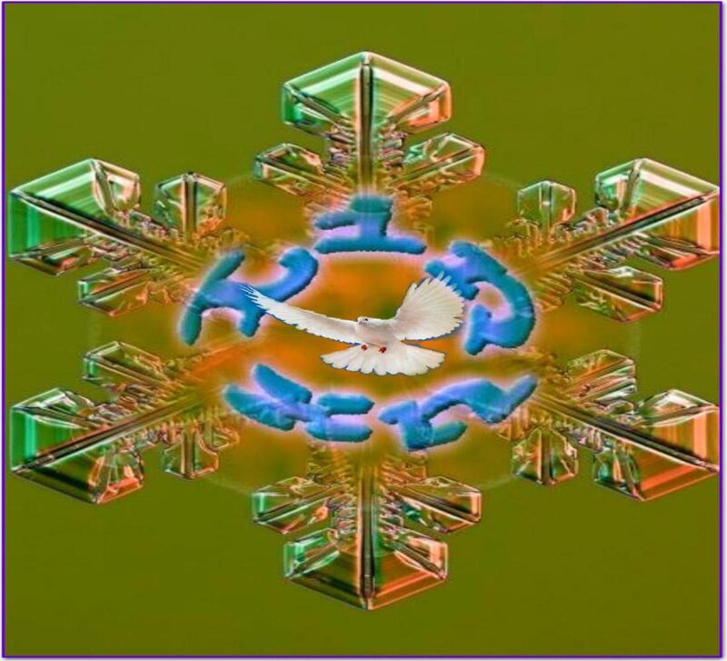White Dove in Snowflake