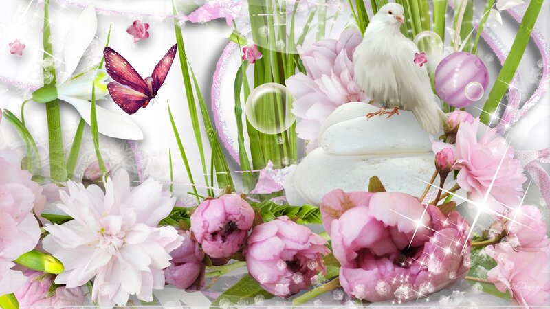 White Dove on Flowers