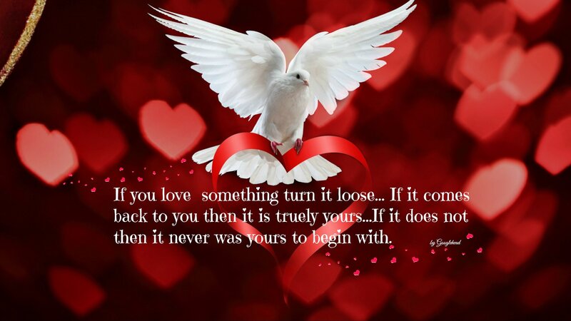 White Dove on Heart