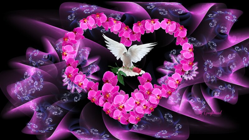 White Dove with Flowers — Pink