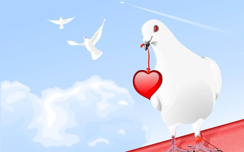 White Dove with Heart — Blue, Peaceful
