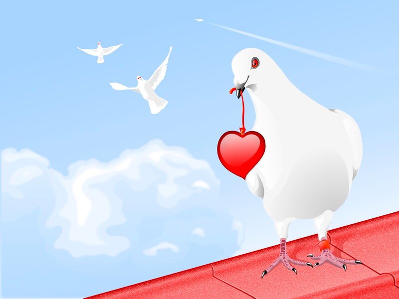 White Dove with Heart — Blue