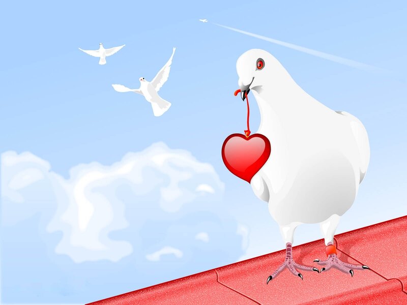 White Dove with Heart — Peaceful