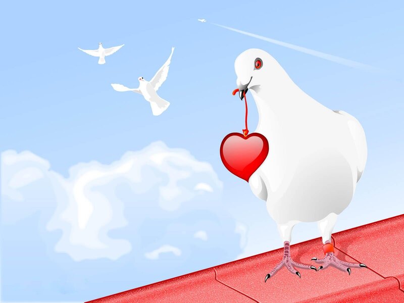 White Dove with Heart