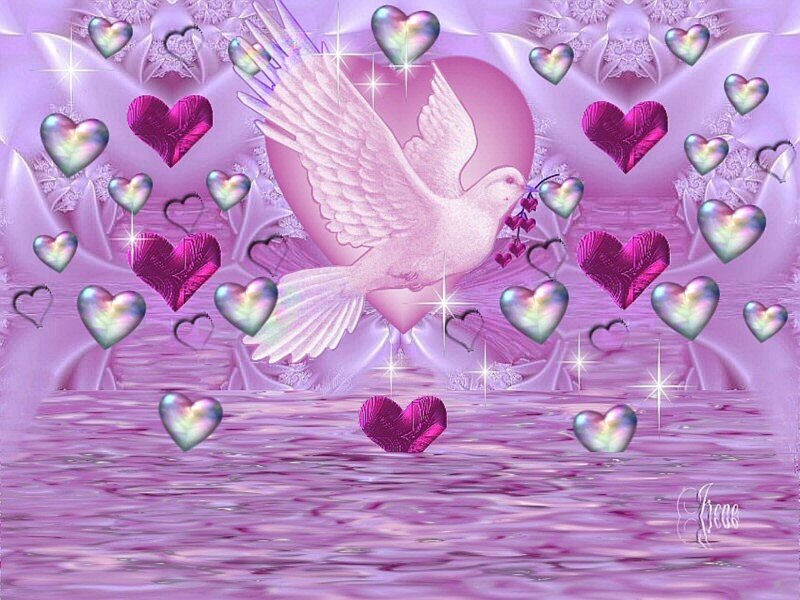 White Dove with Hearts