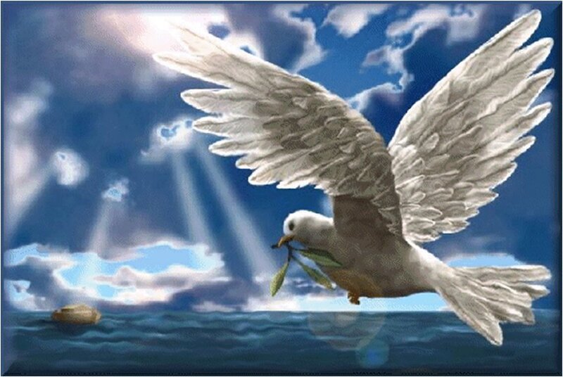 White Dove with Olive Branch — Blue, Serene