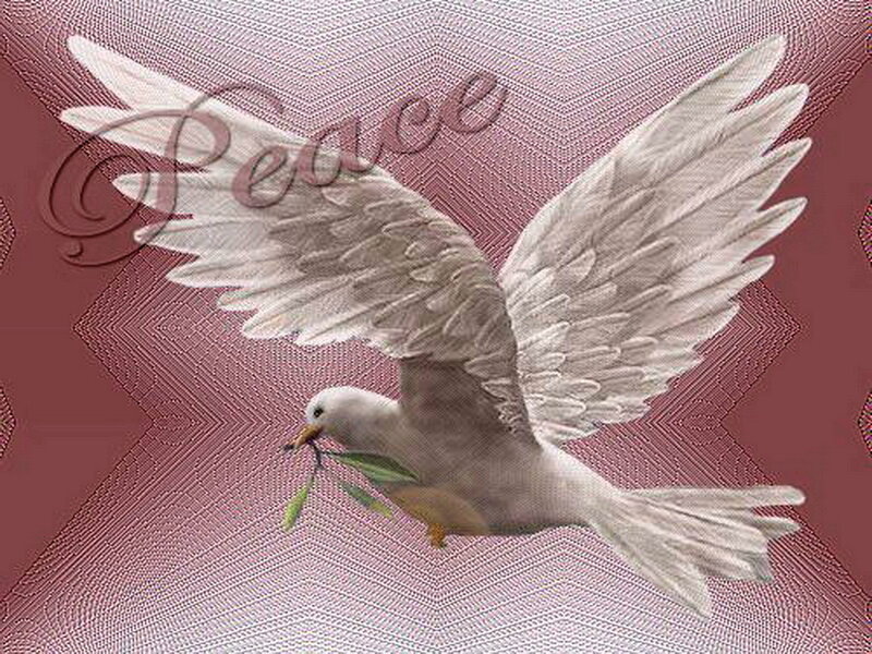 White Dove with Olive Branch — Red