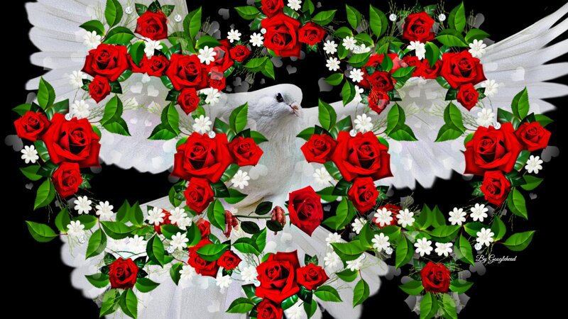 White Dove with Roses — Red