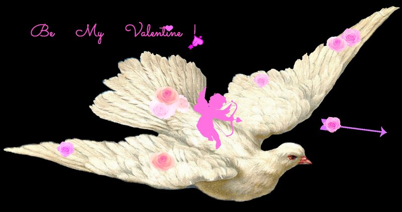White Dove with Roses