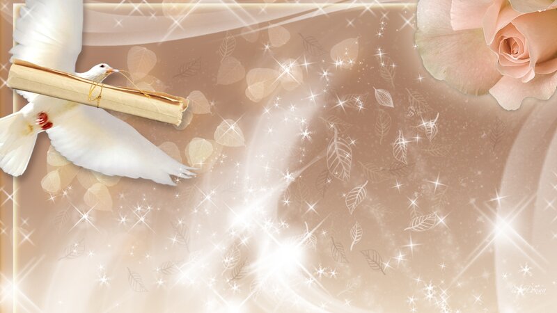 White Dove with Scroll